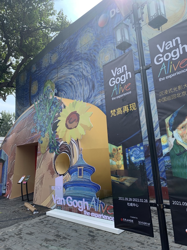 Beijing - Da Vinci Alive