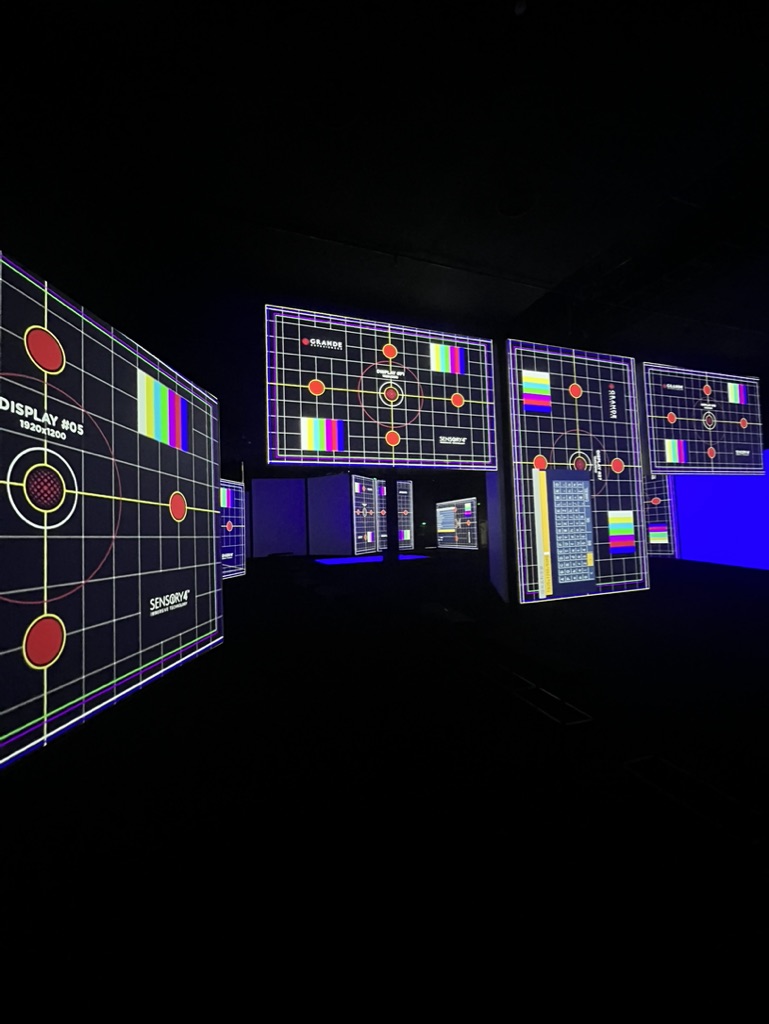 Chengdu Van Gogh Alive